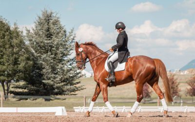 Preventing and Resolving Equine Sale Disputes 